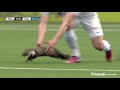 Pine marten invades football pitch and bites player