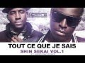 The Shin Sekai - Tout Ce Que Je Sais (MP3) The Shin Sekai - Tout Ce Que Je Sais (MP3)