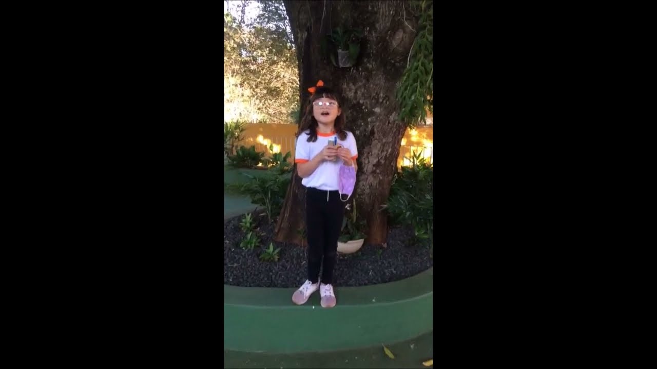 Vídeo