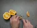 World's Funniest Dinner Trick