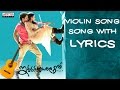 Violin Full Song with Lyrics - Iddarammayilatho Songs - Allu Arjun, Amala Paul, DSP