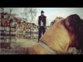 Taipan - Le Chien Taipan - Le Chien
