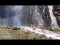 AMAZING BANGET - NIAT RELAKSASI KE AIR TERJUN MALAH RAMAI DI KUNJUNGI BULE - BULE