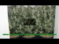 medical marijuana grow / www.limbo-co.com