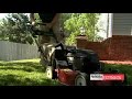 Lawn Renovation