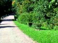 Парк г.Ломоносова (Ораниенбаум)