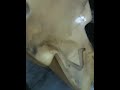LAWN TRACTOR REPAIR John deere riding mower fuel tank replacement