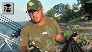ловля карпа осенью видео с алексеем фадеевым ловля карпа осенью видео с алексеем фадеевым