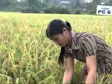 20 10 CM KHOA HOC VA CONG NGHE