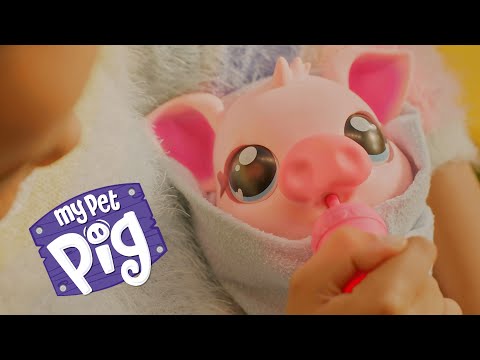 Little Live Pets - My Pet Pig