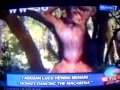 On The Spot Trans7 7 Adegan Lucu Hewan Menari