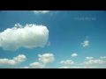 Relaxing Instrumental Music by relaxdaily - Thank You & Long Mixes - 9 Hours Playlist