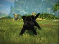 Kinectimals kinect Playthrough Part 1