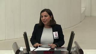 Bitlis milletvekili Gökalp Bitlis'teki usulsüzlükleri meclise taşıdı
