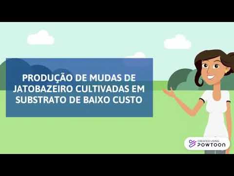 PRODUÇÃO DE MUDAS DE JATOBAZEIRO CULTIVADAS EM SUBSTRATO DE BAIXO CUSTO