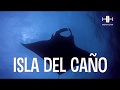 Isla del Cano - Mantas | Mantas