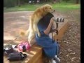 sex women and dog