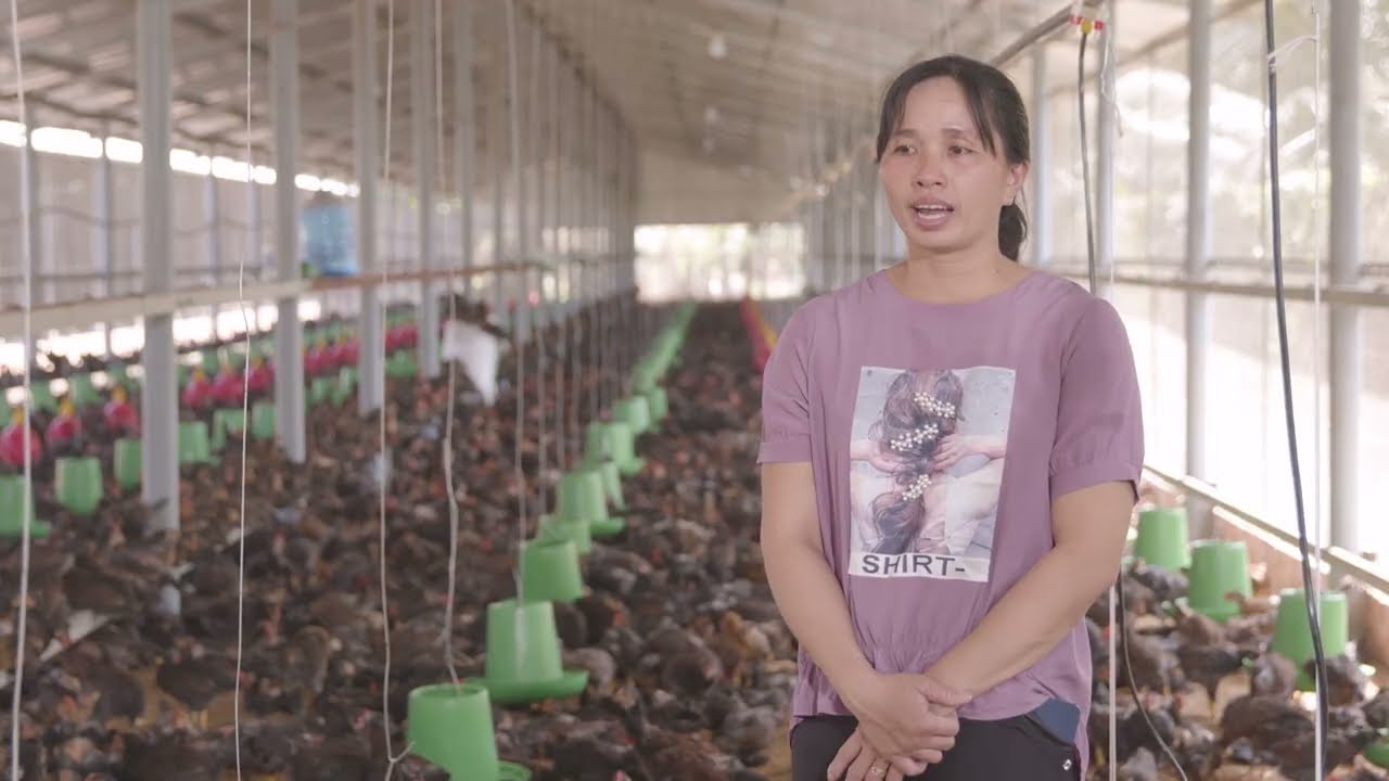 [KoolMedia] Phim Doanh Nghiệp Giới thiệu sản phẩm mới - SUPER CHICKEN - Cargill