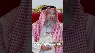 زكاة النخل في البيوت - عثمان الخميس