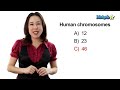 Learn Biology: Cells—The Nucleus