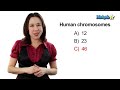 Learn Biology: Cells—The Nucleus