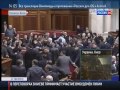 Сегодняшняя драка в Верховной Раде Украины!Депутаты ''активно'' ведут свои переговоры!