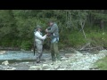Concurs de pescuit pastrav / lipan la musca artificiala Ciocanesti 2012 VeziBucovina.ro