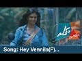 HEY VENNILA F | PATTAM POLE | Latest Malayalam Movie Video Song | Dulqer Salman | M Jayachandran