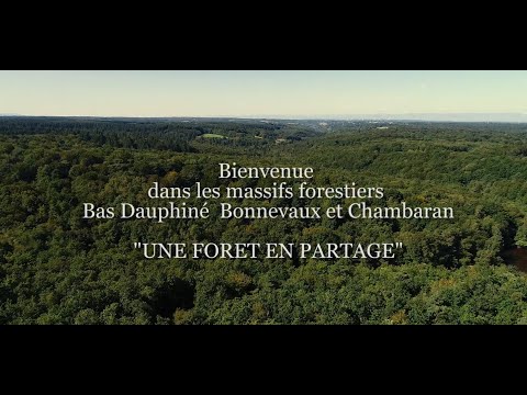 Une forêt en partage