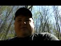 Medical plant; Bloodroot.MP4