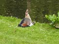 Rotterdam Holland Tourist Attractions