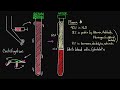 What's Inside of Blood?