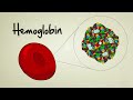 What is a gene?
