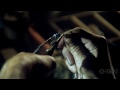 The Evil Within - Debut Trailer