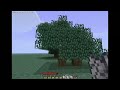 how to grow a big tree in minecraft. less than 20 sec