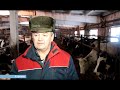 День за днем. В "Колосе" готовятся к вес