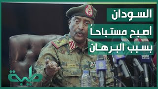 حسن إسماعيل: البرهان يتحمل ماتفعله السفارات والدولة السودانية مستباحه