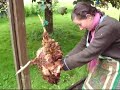 respectful chicken harvest part 1 of 2 kill and pluck - how to