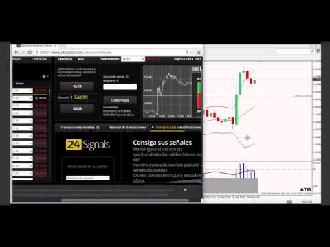 Lotus forex bangalore jayanagar