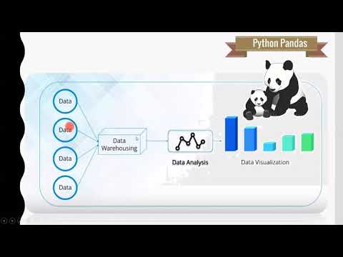 Introduction Pandas (Python)
