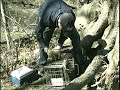 Protecting People & Raccoon from Rabies in NYC