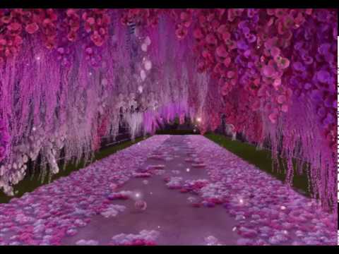 Flower cave Animated