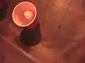 Best Beer Pong Shots in the World