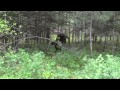Turkey Hunting Spokane WA #24