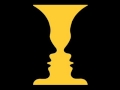 BEST OPTICAL ILLUSIONS IN THE WORLD!