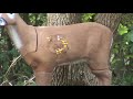 Basic Archery ( Longbow)