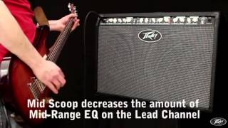 PEAVEY　 Special サンバースト Amplifiers - My gigging rig for 2025 - Peavey Special 112