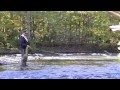 Sharks of the River Trailer