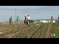 Sự Gần Gũi Của ĐTC Với Những Người Lao Động Bị Bóc Lột