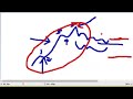 Forex: How To Trade Non Farm Payroll, FOMC or any big news event